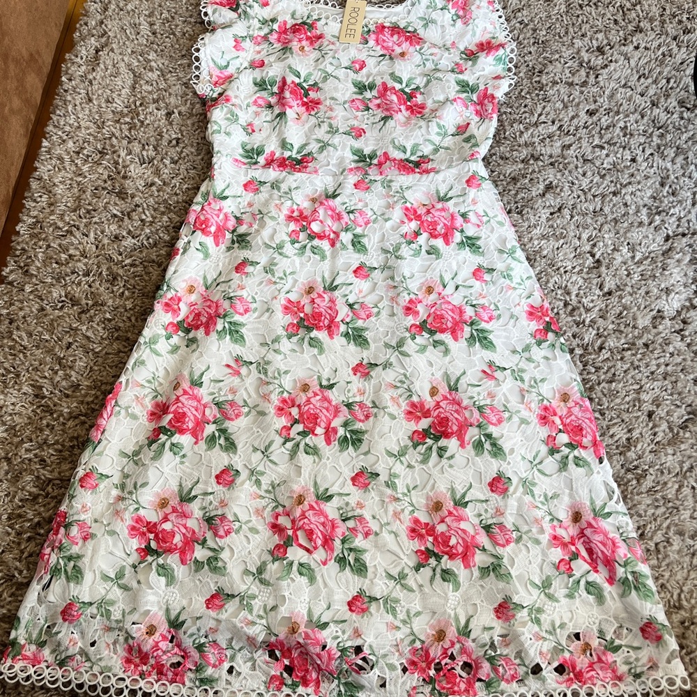 Roolee Floral Lace Dress - Pink and Green